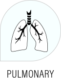 Pulmonary/Bronchoscopes Equipment